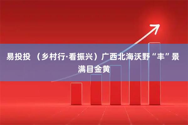 易投投 （乡村行·看振兴）广西北海沃野“丰”景 满目金黄