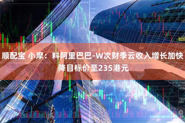 顺配宝 小摩：料阿里巴巴-W次财季云收入增长加快 降目标价至235港元