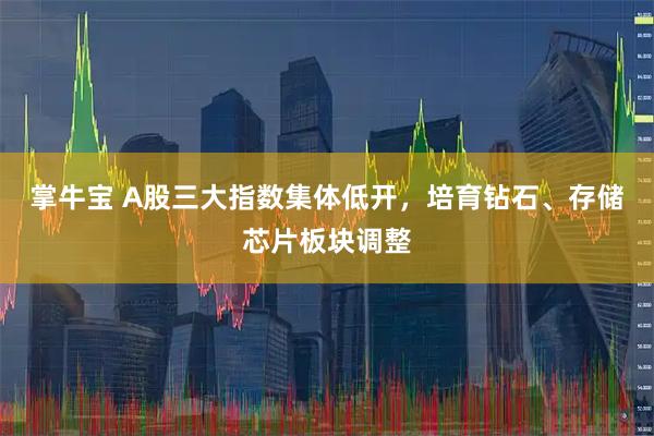 掌牛宝 A股三大指数集体低开，培育钻石、存储芯片板块调整