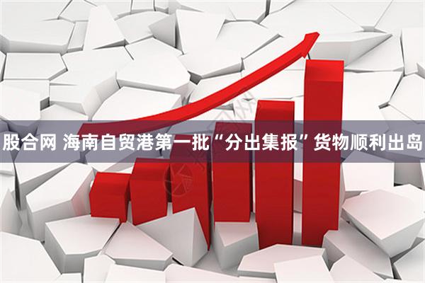 股合网 海南自贸港第一批“分出集报”货物顺利出岛